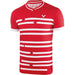 Victor Badminton Shirt Denmark Unisex Red 6628 T-Shirt
